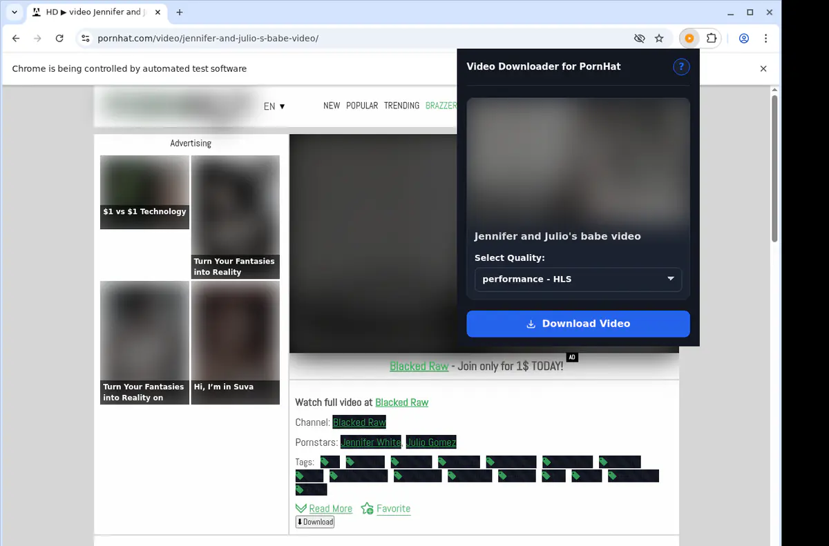PornHat Video Downloader screenshot 3